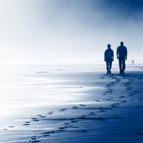 Peaceful beach view